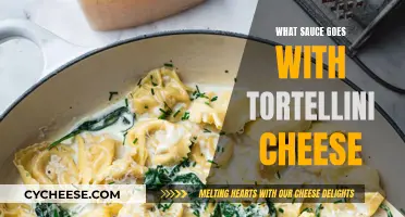 Tortellini Cheese: Best Sauce Pairings for a Flavorful Dish