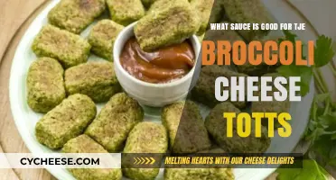 Perfect Pairings: Best Sauces for Broccoli Cheese Tots Delight