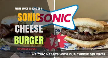 Perfect Pairings: Top Sauce Choices for Your Sonic Cheeseburger Delight