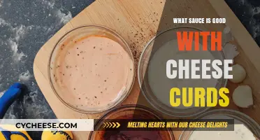 Perfect Pairings: Best Sauces to Elevate Your Cheese Curds Experience