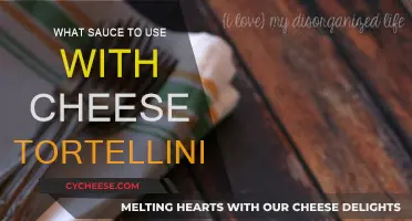 Cheese Tortellini: Choosing the Perfect Sauce