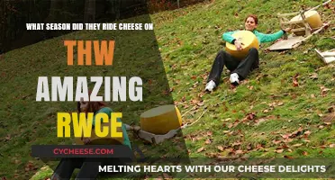 The Amazing Race's Iconic Cheese Wheel Challenge: Which Season?