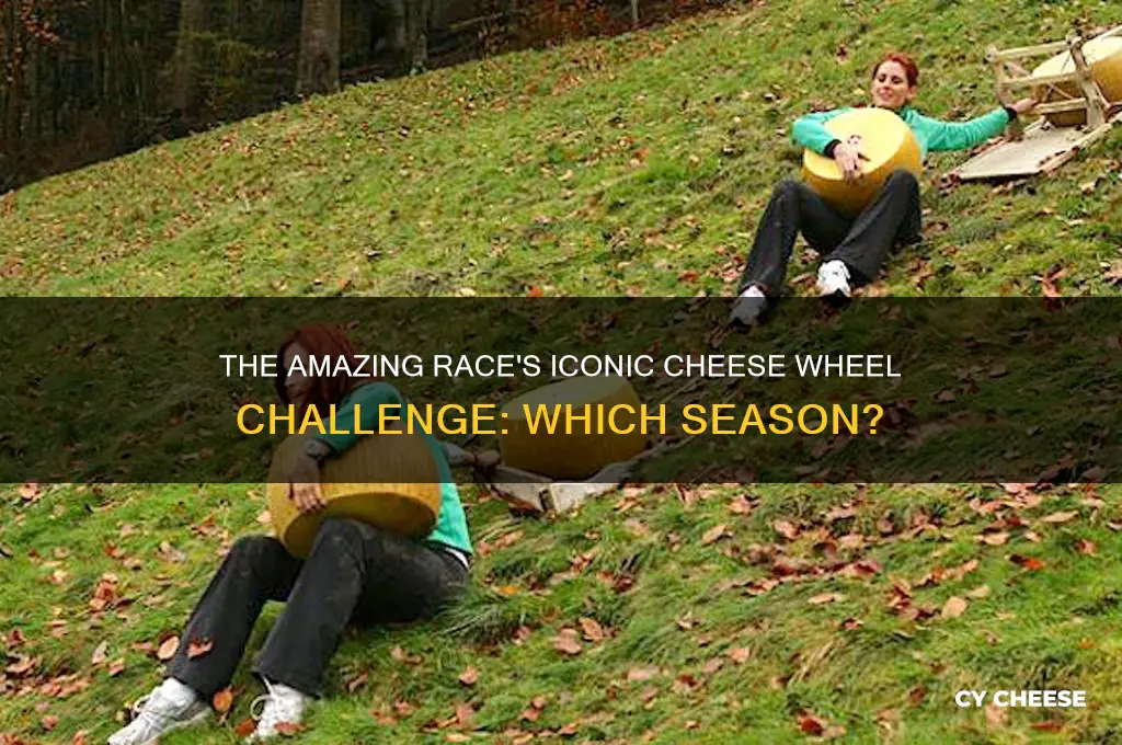 what season did they ride cheese on thw amazing rwce