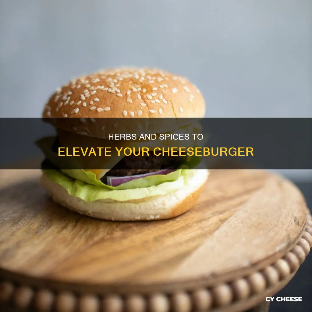 what seasoning should i put on a cheese burger patty