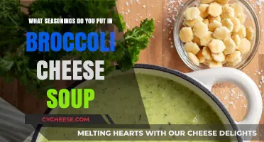 Herbs and Spices for a Hearty Broccoli Cheese Soup