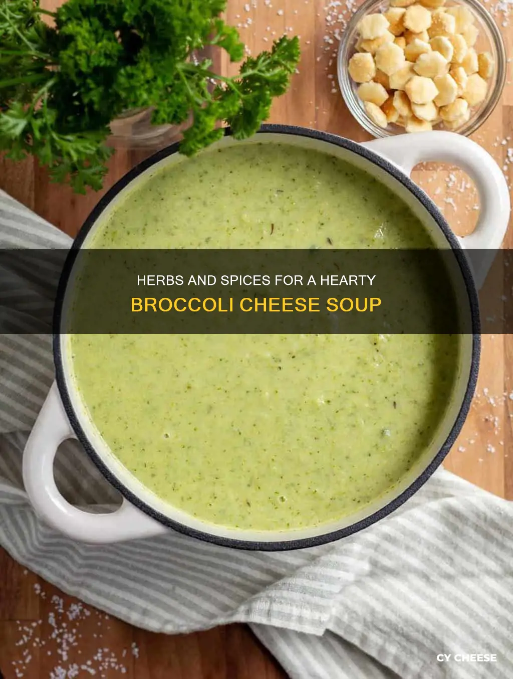 what seasonings do you put in broccoli cheese soup