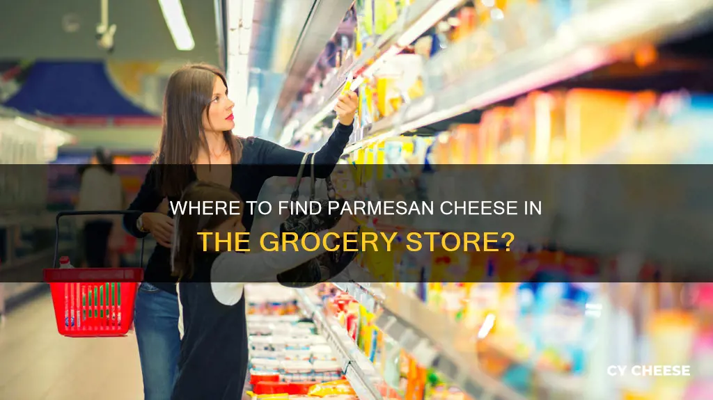 what section is parmesan cheese in