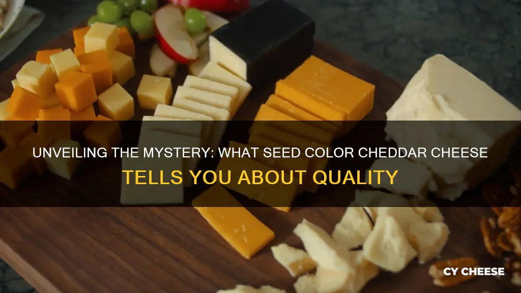 what seed color cheddar cheese