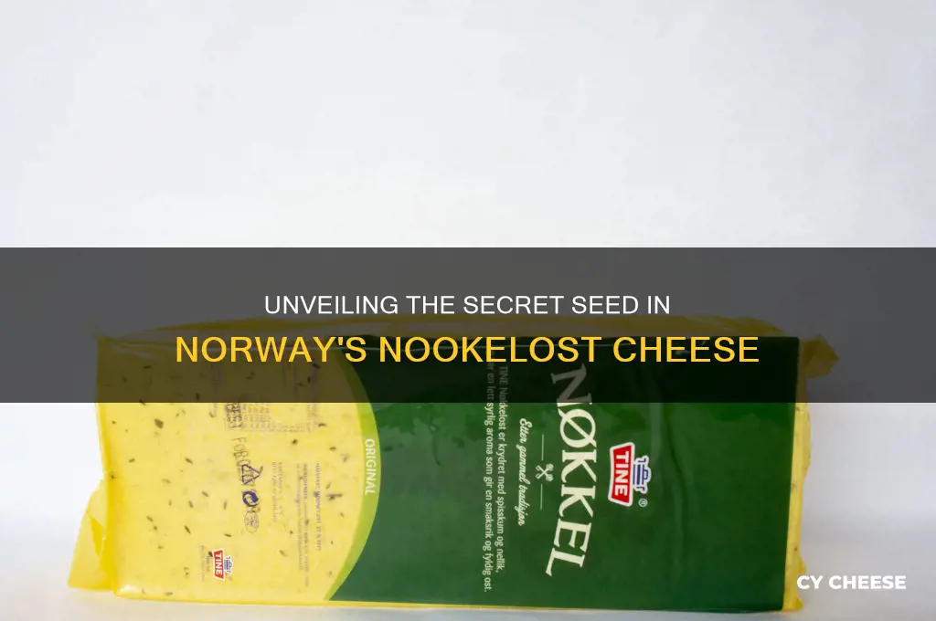 what seed is in the norwegian nookelost cheese