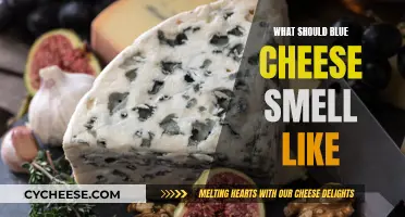 The Aroma of Blue Cheese: A Guide to Its Unique Smell