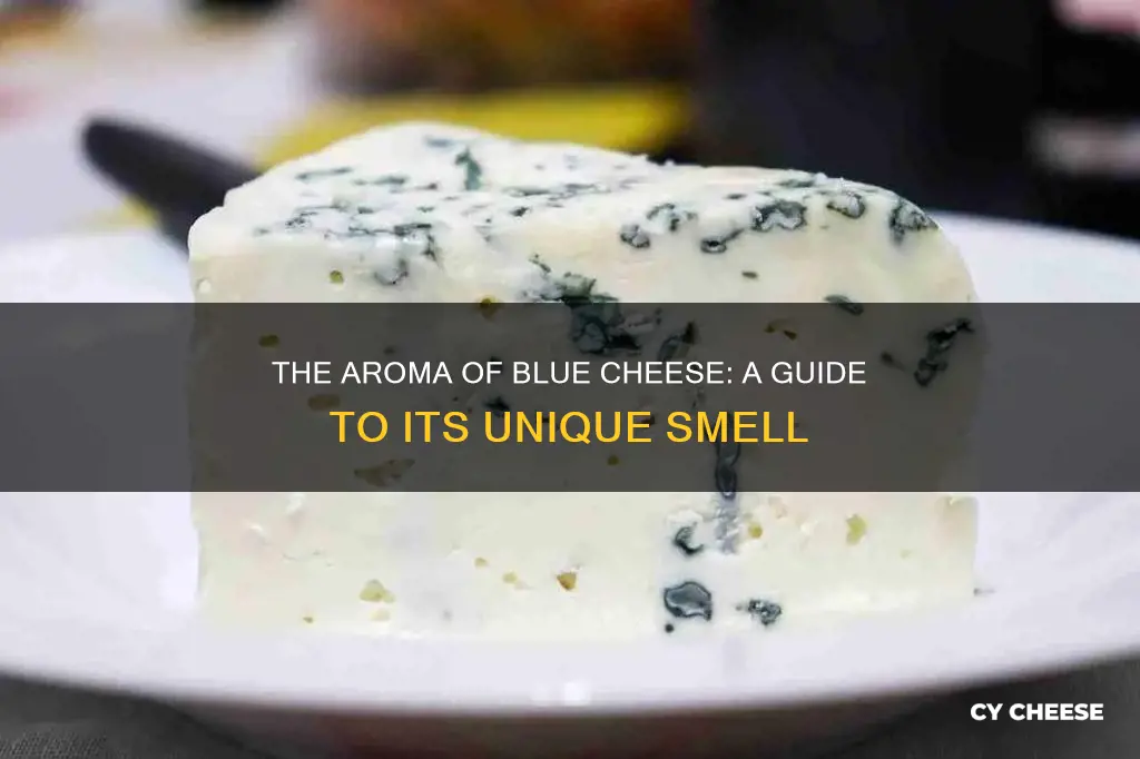 what should blue cheese smell like