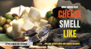 Blue Cheese: What's That Aroma?