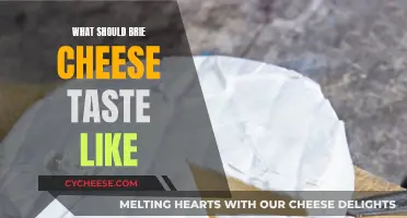 Brie Cheese: What It Should Taste Like