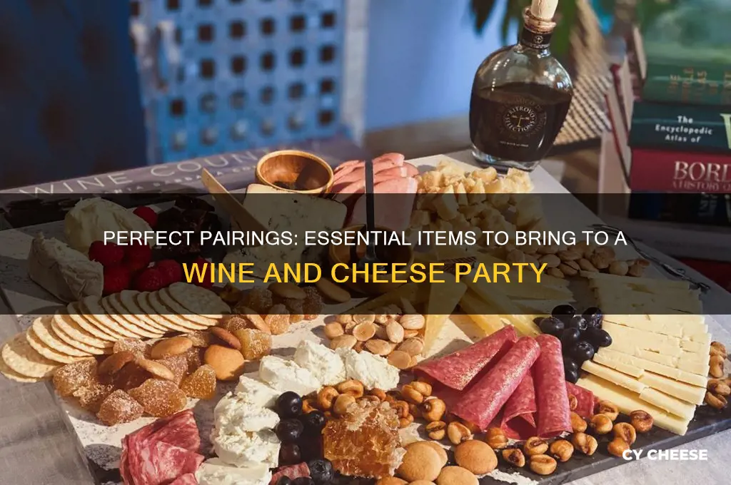 what should i bring to a wine and cheese party