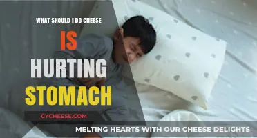 Cheese Causing Stomach Pain? Tips to Ease Discomfort and Enjoy Dairy
