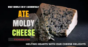 Accidentally Ate Moldy Cheese? Here's What to Do Next