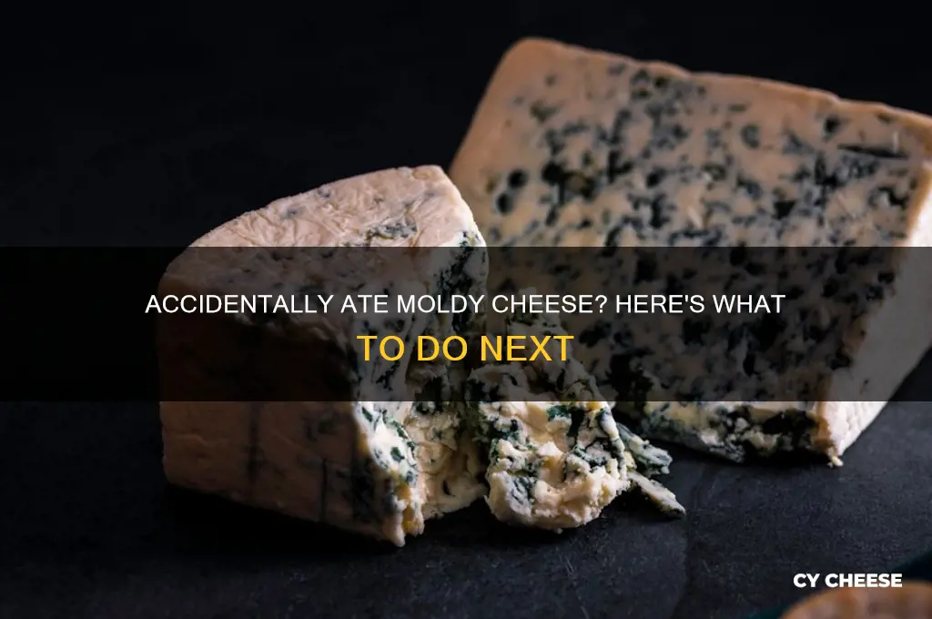 what should i do if i accidentally ate moldy cheese
