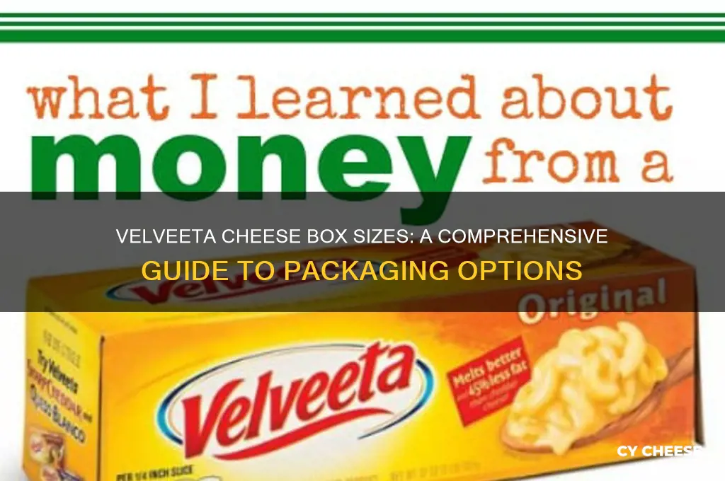 what size b9xes does velveeta cheese come in