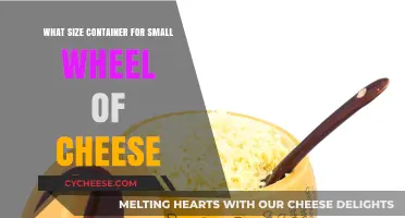 Perfect Container Size for Storing a Small Wheel of Cheese