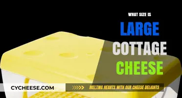 Understanding Large Cottage Cheese Container Sizes and Portions