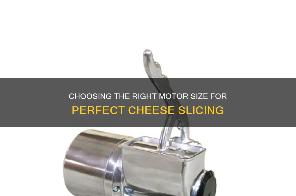 what size moyor do i need to slice cheese
