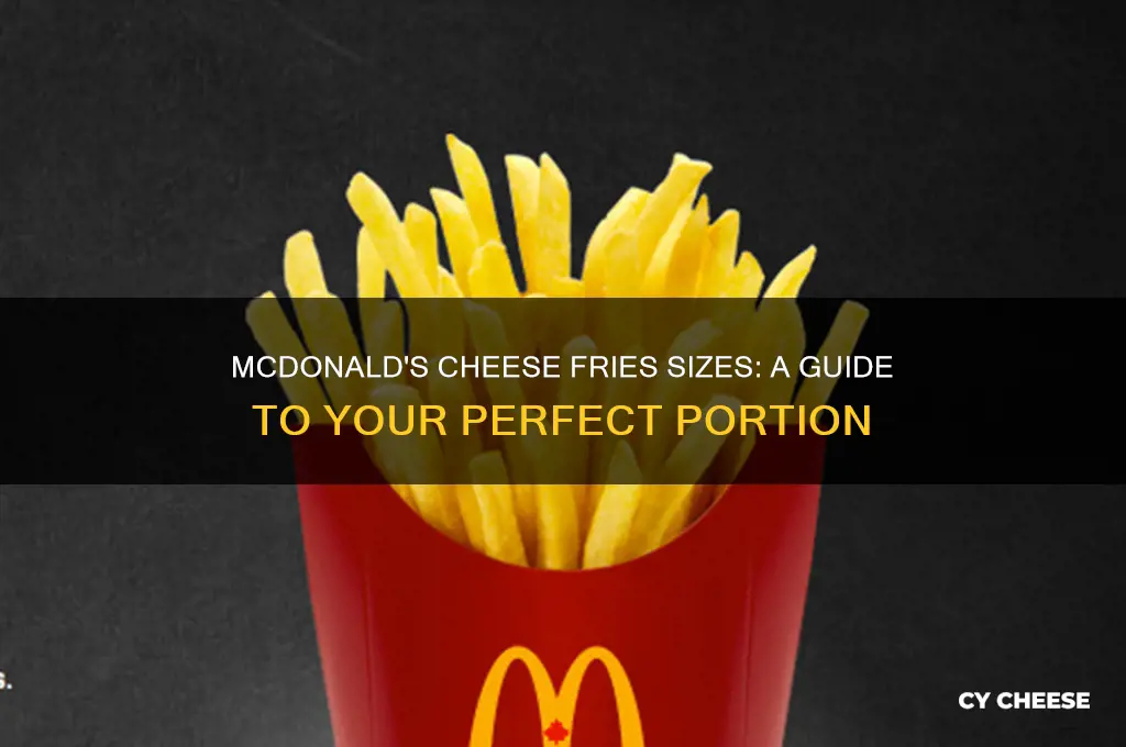 what sizes does the cheese fries come with in mcdonalds