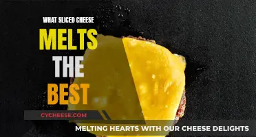 Best Melting Sliced Cheeses for Your Recipes