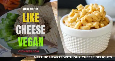 Vegan Delicacies: What Gives Off a Cheesy Smell?