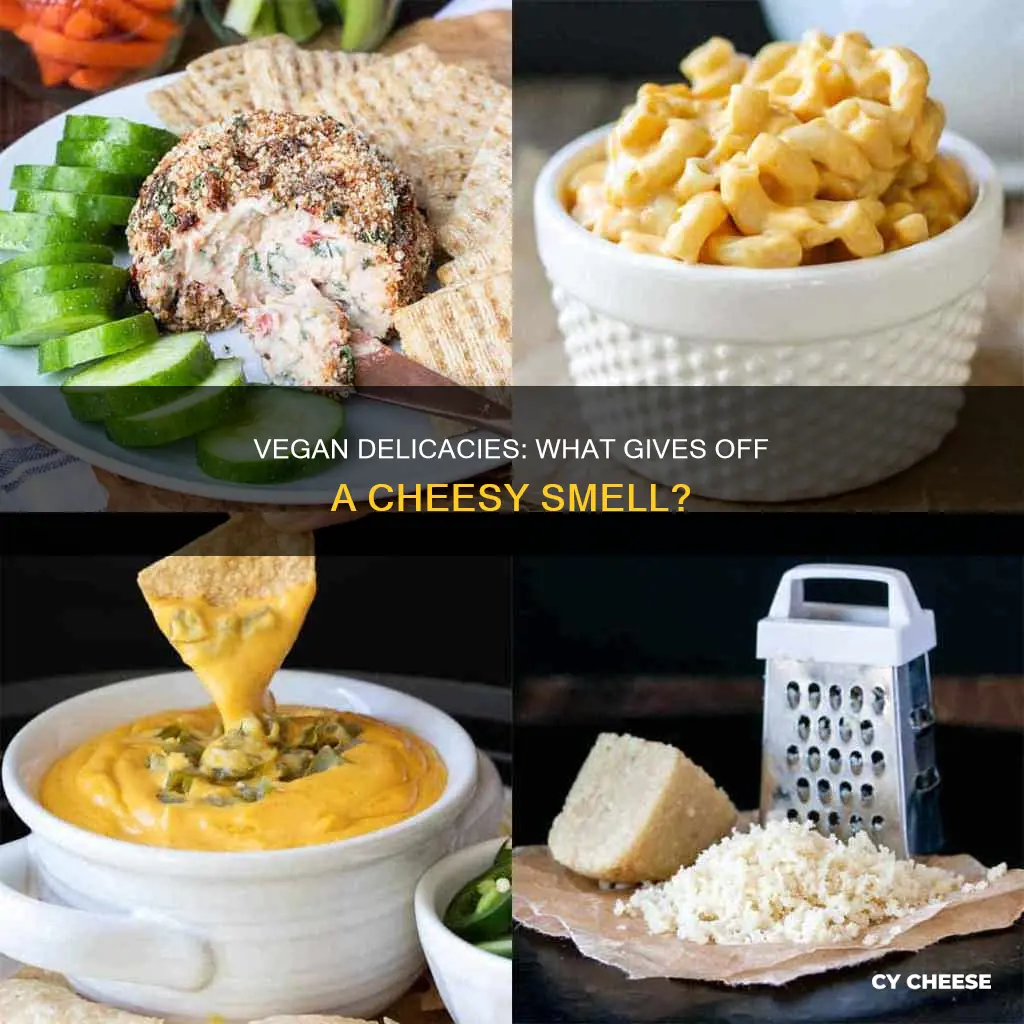 what smells like cheese vegan