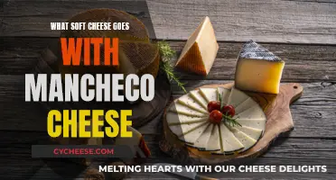 Soft Cheeses to Pair with Manchego: A Guide