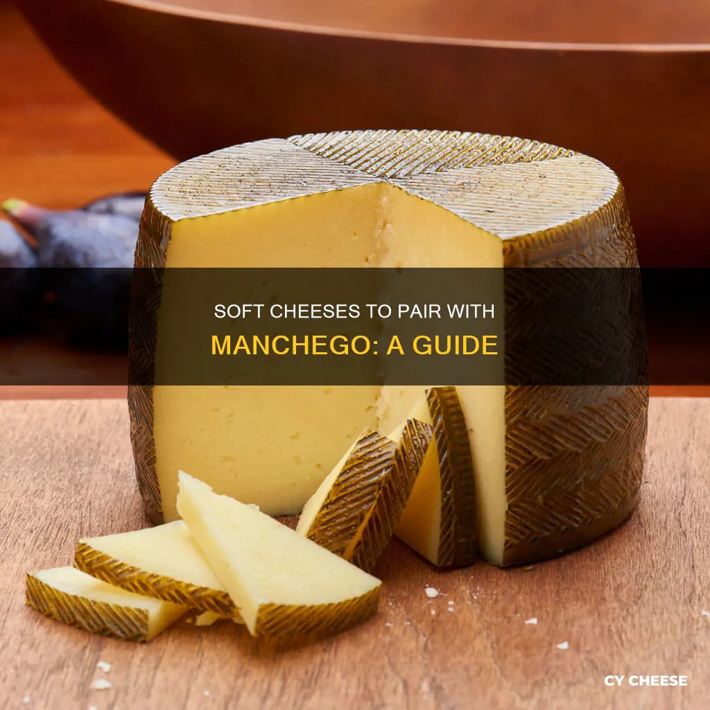 what soft cheese goes with mancheco cheese