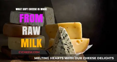 Raw Milk's Soft Cheesery: A Guide to Creamy Delights