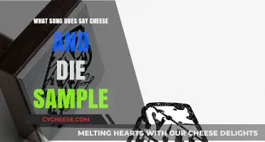 Uncovering the Sampled Song in 'Say Cheese and Die': A Musical Mystery