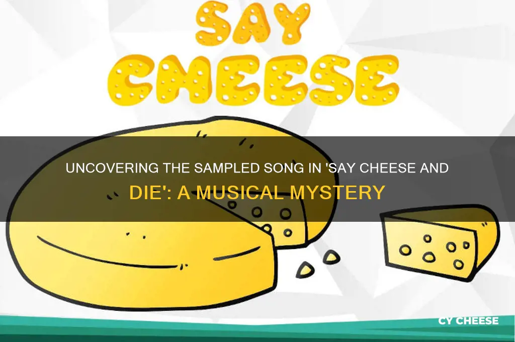 what song does say cheese and die sample