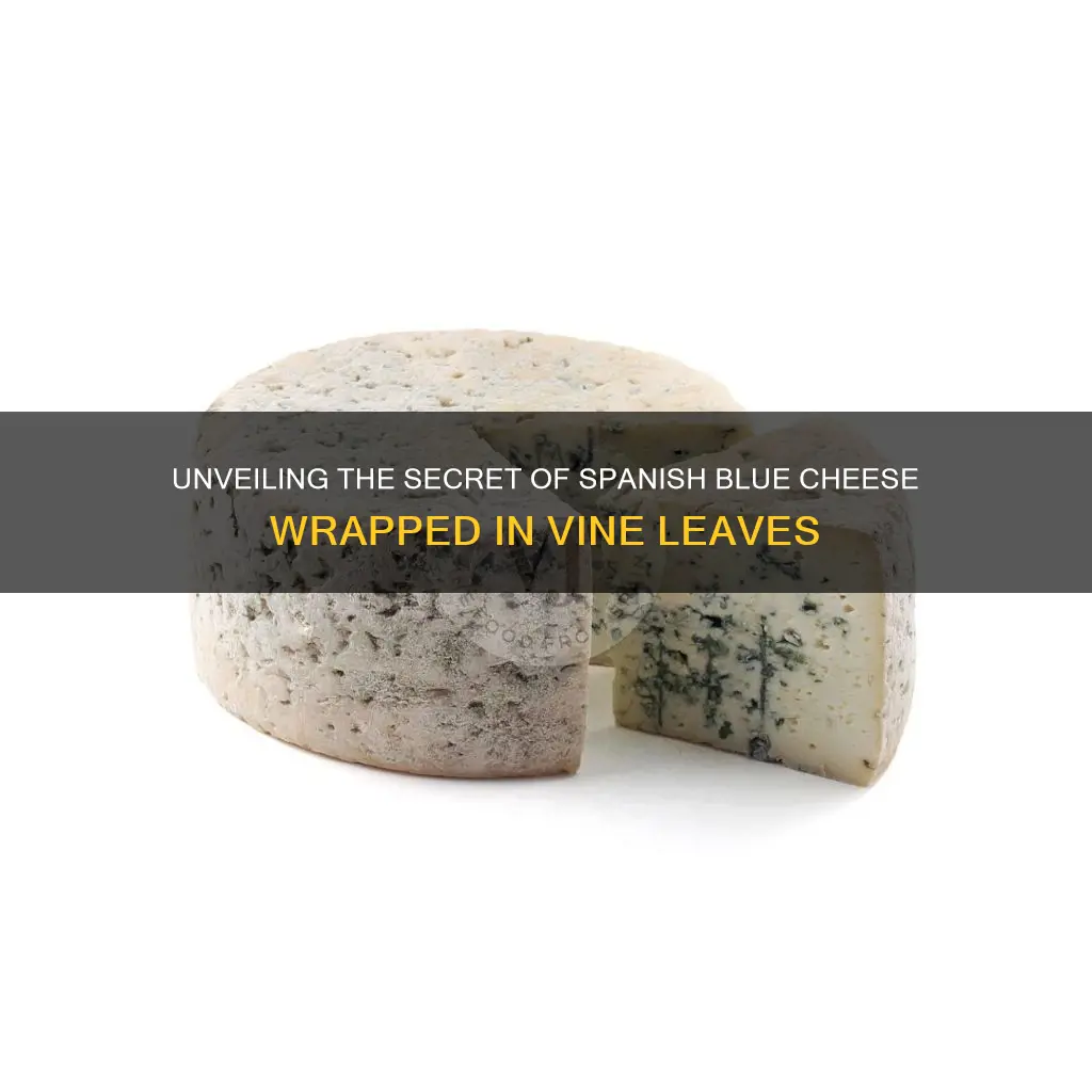 what spanish blue cheese is wrapped in vine leaves