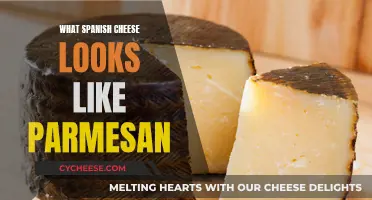 Spanish Cheese: The Golden Look-Alike of Parmesan