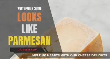 Discovering Spanish Cheeses That Resemble Parmesan: A Guide