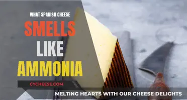 The Pungent World of Spanish Cheeses and Ammonia