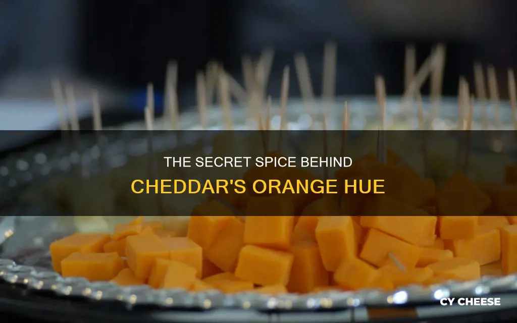 what spice gives cheddar cheese its trademark orange hue
