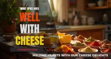 Cheese and Spice: Perfect Pairing Guide