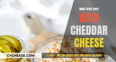 Herbs and Spices: The Perfect Cheddar Cheese Companion