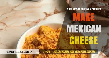 Authentic Mexican Cheese: Best Spices to Elevate Your Homemade Recipe