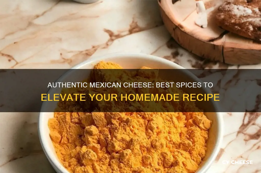 what spices are good from to make mexican cheese