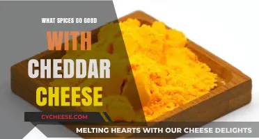 Perfect Pairings: Spices That Elevate Your Cheddar Cheese Experience