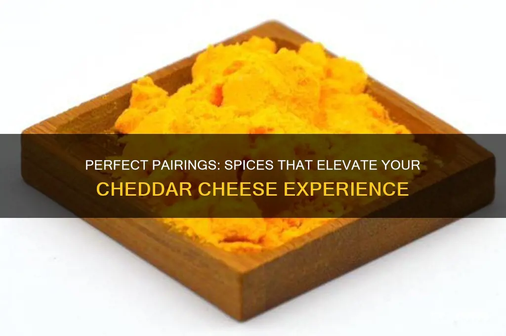 what spices go good with cheddar cheese