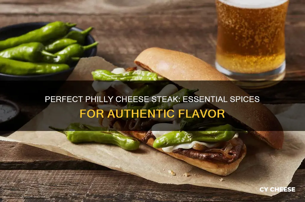 what spices go in a philly cheese steak