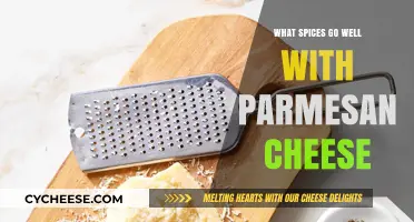 Enhancing Parmesan: Spices That Complement the King of Cheeses
