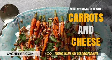 Delicious Pairings: Best Spices to Elevate Carrots and Cheese Combinations