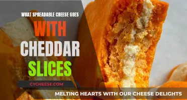 Cheddar Slices and Spreadable Cheeses: Perfect Pairings