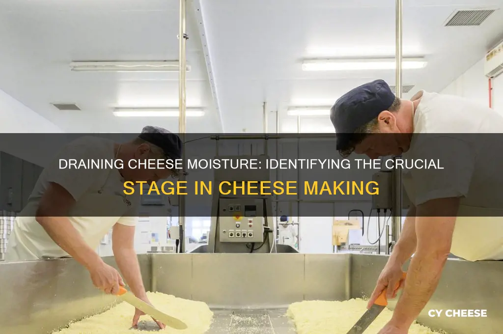 what stage of cheese when you drain the moisture